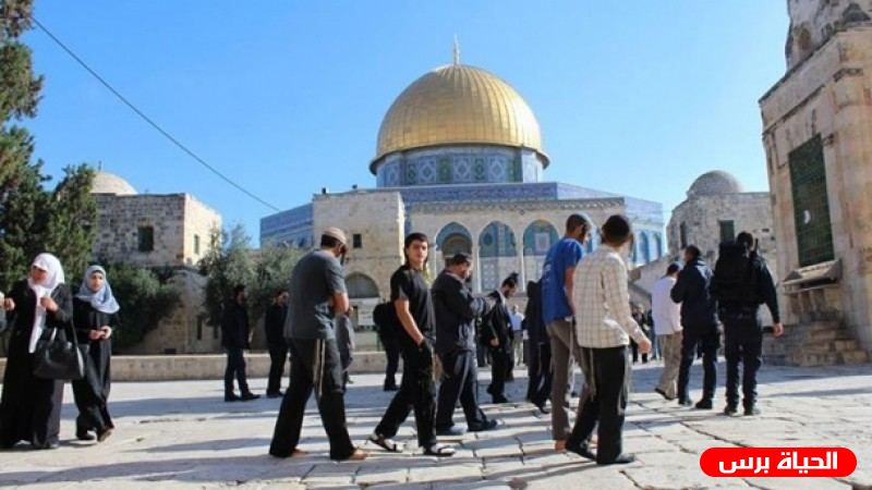 دائرة الأـوقاف الاسلامية في القدس تنفي اقتحام شاحنة لشرطة الاحتلال باحات الأقصى